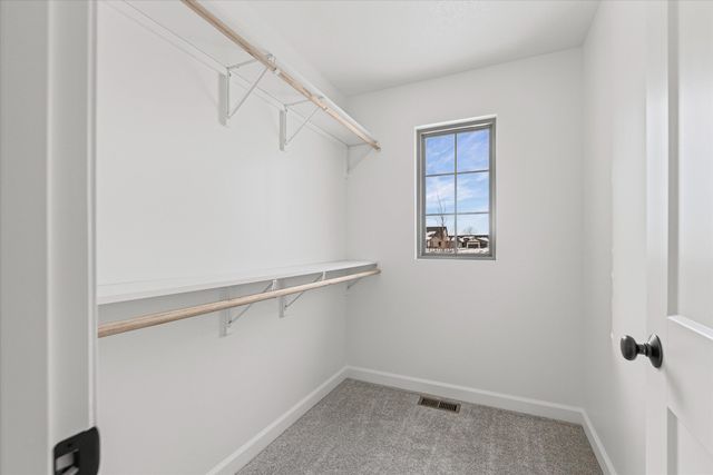 2805 MISTY FLOWER DR, Columbia, MO 65203