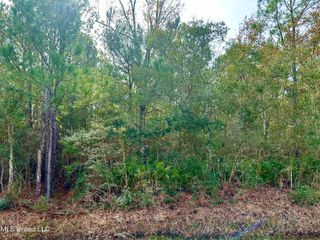 00 Beach Street, Ocean Springs, MS 39564