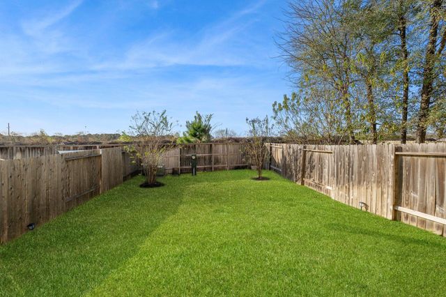 227 Biltmore Loop, Montgomery, TX 77316