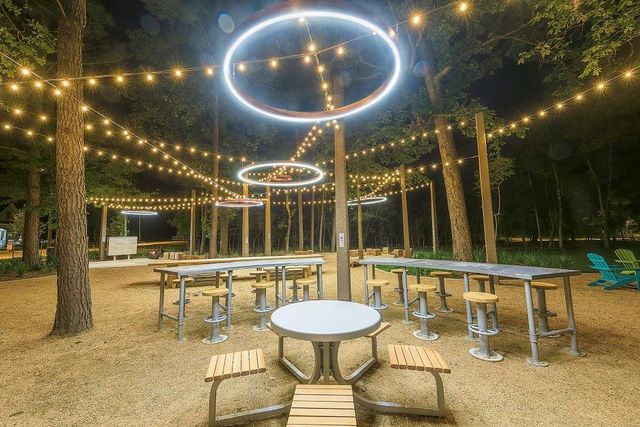 227 Biltmore Loop, Montgomery, TX 77316