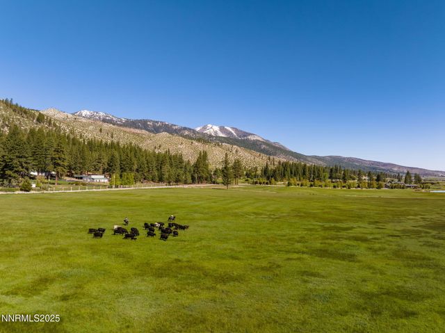05 Franktown Rd, Washoe Valley, NV 89704