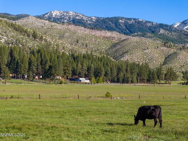 05 Franktown Rd, Washoe Valley, NV 89704
