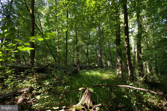 16746 WESLEY CHAPEL RD, Monkton, MD 21111