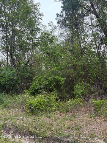 00 Wilson St Street, Bay Saint Louis, MS 39520