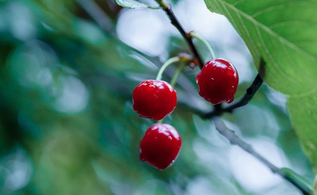 0 APN 841 38 029, Gilroy, CA 95020