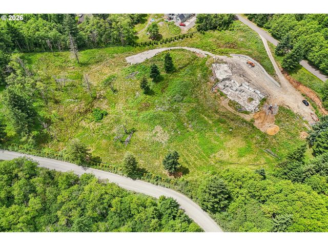 30317 Ne LIVINGSTON MOUNTAIN Cir, Camas, WA 98607
