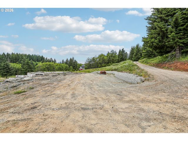 30317 Ne LIVINGSTON MOUNTAIN Cir, Camas, WA 98607