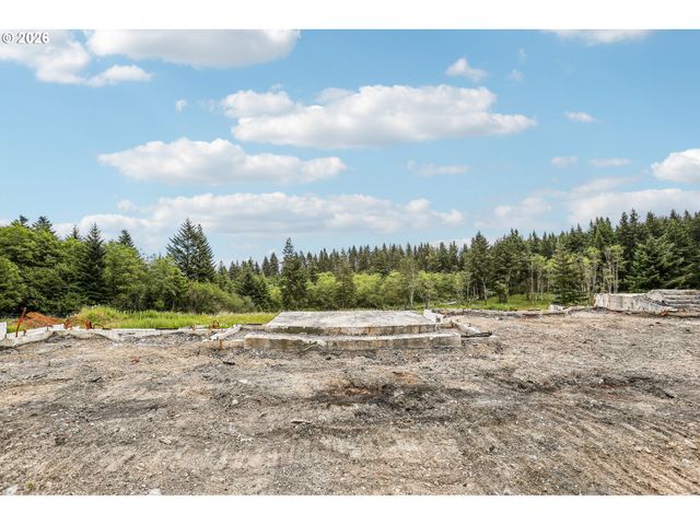 30317 Ne LIVINGSTON MOUNTAIN Cir, Camas, WA 98607