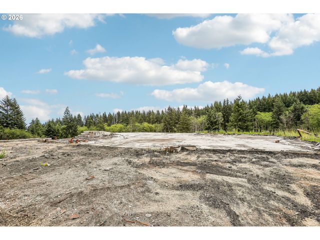 30317 Ne LIVINGSTON MOUNTAIN Cir, Camas, WA 98607