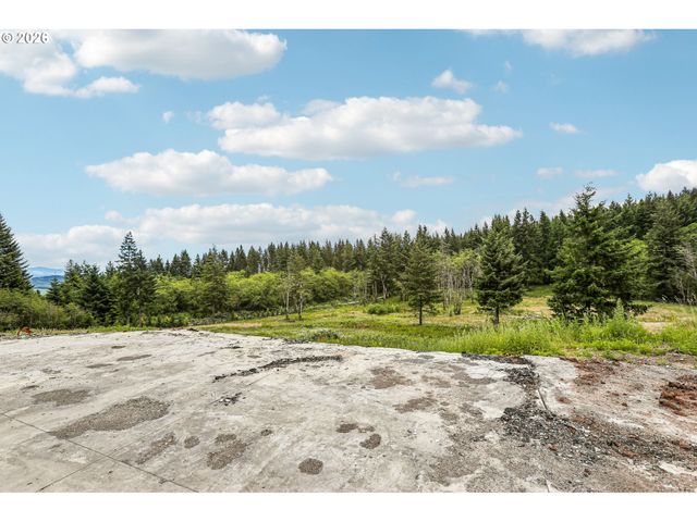 30317 Ne LIVINGSTON MOUNTAIN Cir, Camas, WA 98607