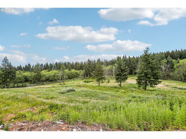 30317 Ne LIVINGSTON MOUNTAIN Cir, Camas, WA 98607