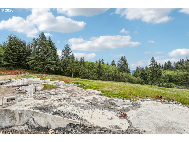 30317 Ne LIVINGSTON MOUNTAIN Cir, Camas, WA 98607