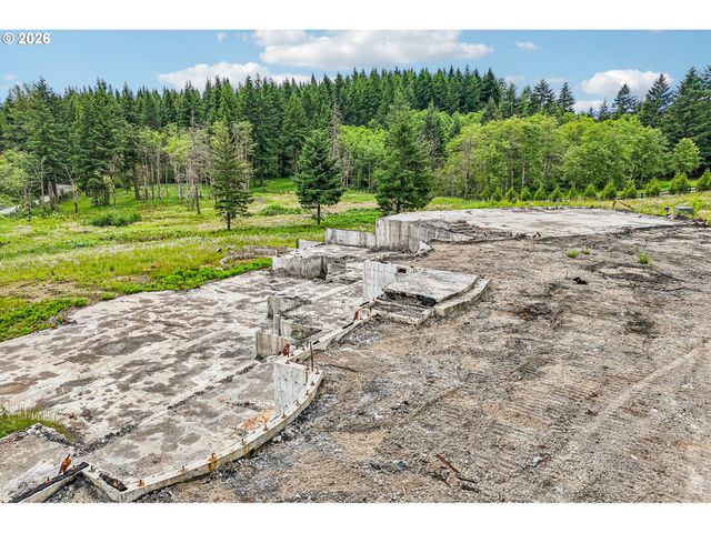 30317 Ne LIVINGSTON MOUNTAIN Cir, Camas, WA 98607