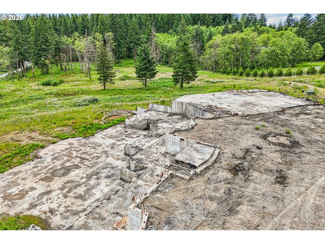 30317 Ne LIVINGSTON MOUNTAIN Cir, Camas, WA 98607