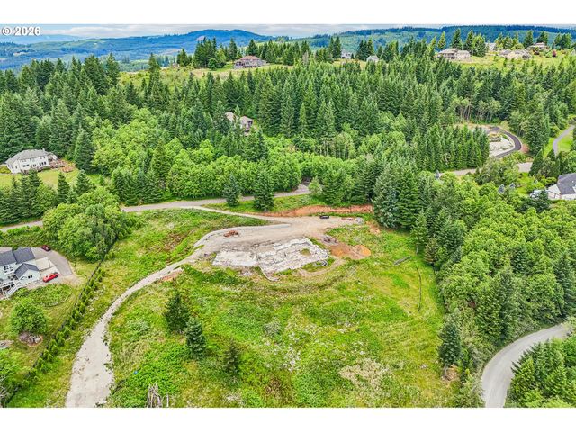 30317 Ne LIVINGSTON MOUNTAIN Cir, Camas, WA 98607