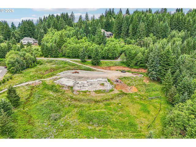30317 Ne LIVINGSTON MOUNTAIN Cir, Camas, WA 98607