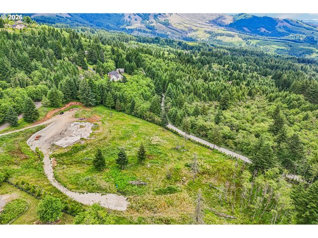 30317 Ne LIVINGSTON MOUNTAIN Cir, Camas, WA 98607