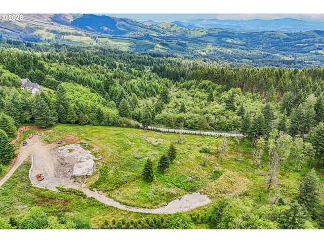 30317 Ne LIVINGSTON MOUNTAIN Cir, Camas, WA 98607