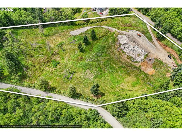 30317 Ne LIVINGSTON MOUNTAIN Cir, Camas, WA 98607