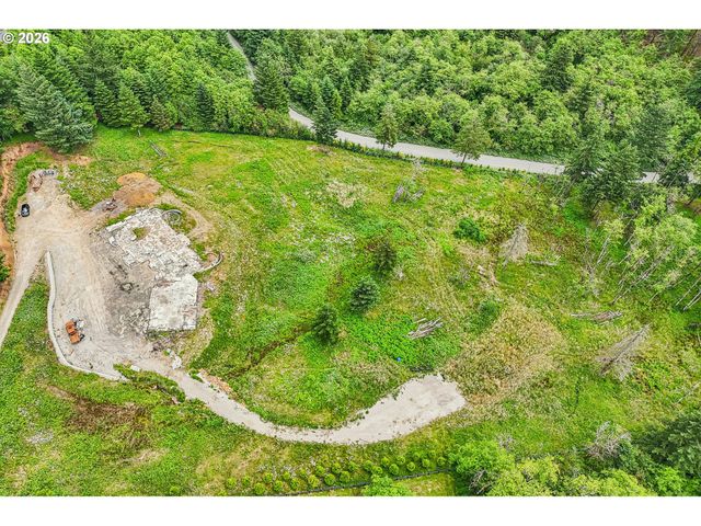30317 Ne LIVINGSTON MOUNTAIN Cir, Camas, WA 98607