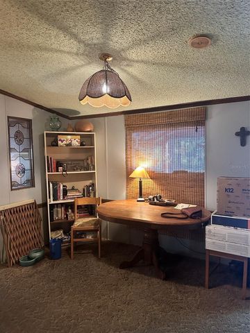 79 NE 242ND AVENUE, Old Town, FL 32680