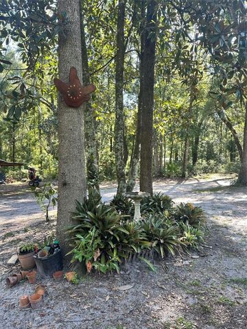 79 NE 242ND AVENUE, Old Town, FL 32680