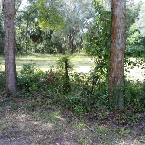 79 NE 242ND AVENUE, Old Town, FL 32680