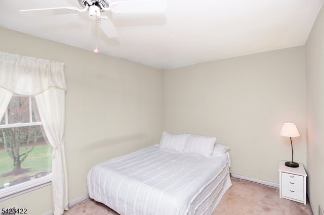 4 Melita Rd, Alexandria Twp., NJ 08848