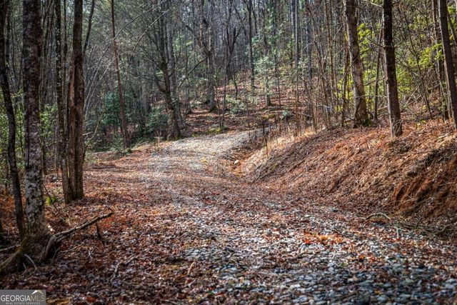 5.15 AC Spence Road 11B, Blue Ridge, GA 30513