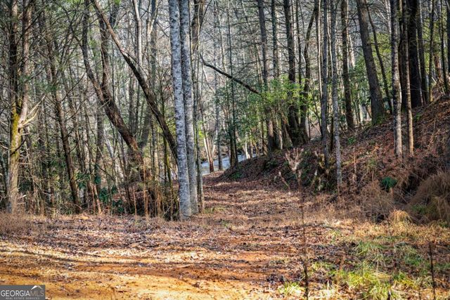 5.15 AC Spence Road 11B, Blue Ridge, GA 30513