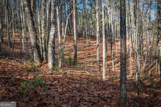 5.15 AC Spence Road 11B, Blue Ridge, GA 30513