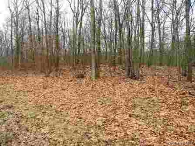 618 Bean River Road, Millerton, NY 12546