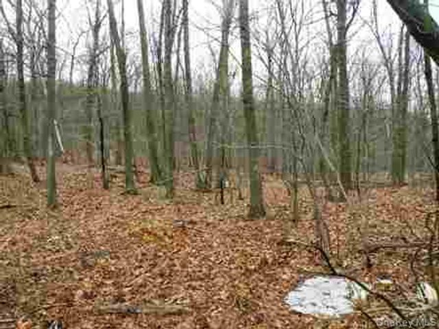 618 Bean River Road, Millerton, NY 12546