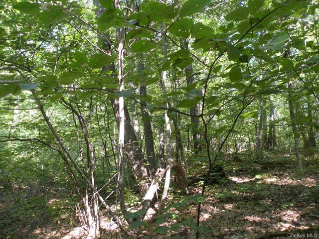 618 Bean River Road, Millerton, NY 12546