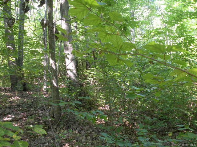 618 Bean River Road, Millerton, NY 12546