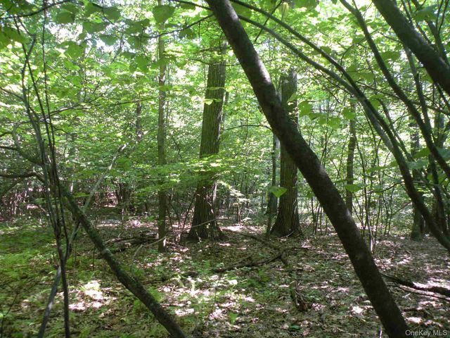 618 Bean River Road, Millerton, NY 12546