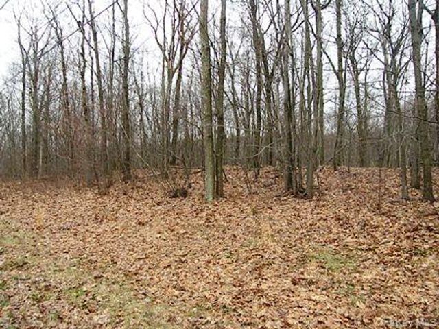 618 Bean River Road, Millerton, NY 12546