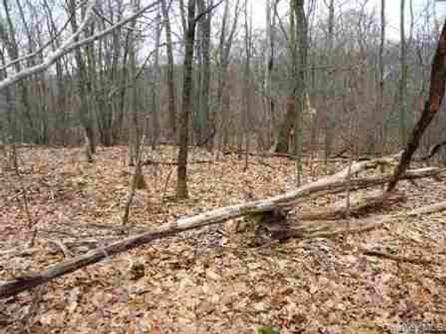 618 Bean River Road, Millerton, NY 12546