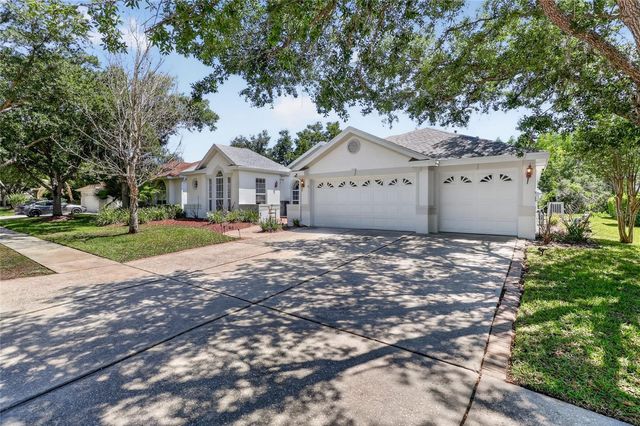 10206 SHADOW BRANCH DRIVE, Tampa, FL 33647