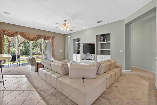 10206 SHADOW BRANCH DRIVE, Tampa, FL 33647