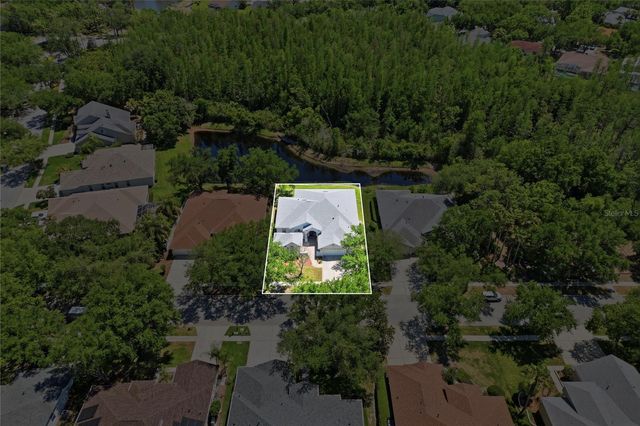 10206 SHADOW BRANCH DRIVE, Tampa, FL 33647