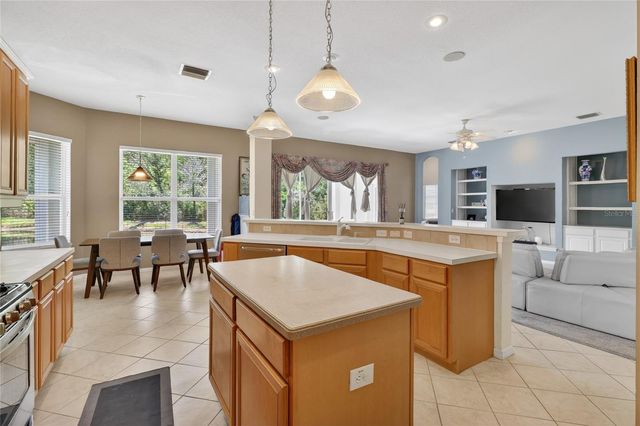 10206 SHADOW BRANCH DRIVE, Tampa, FL 33647