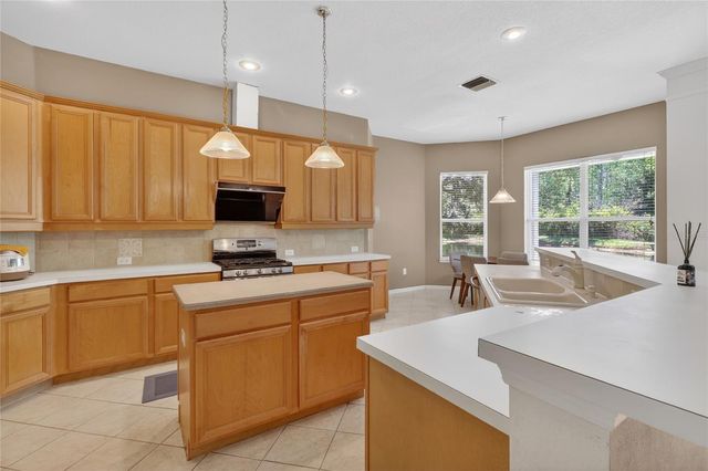 10206 SHADOW BRANCH DRIVE, Tampa, FL 33647