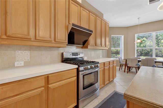 10206 SHADOW BRANCH DRIVE, Tampa, FL 33647