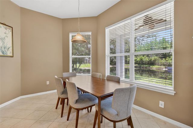 10206 SHADOW BRANCH DRIVE, Tampa, FL 33647