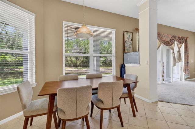 10206 SHADOW BRANCH DRIVE, Tampa, FL 33647