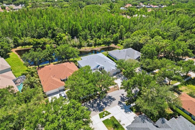 10206 SHADOW BRANCH DRIVE, Tampa, FL 33647