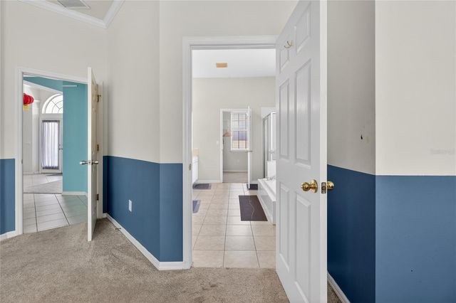 10206 SHADOW BRANCH DRIVE, Tampa, FL 33647