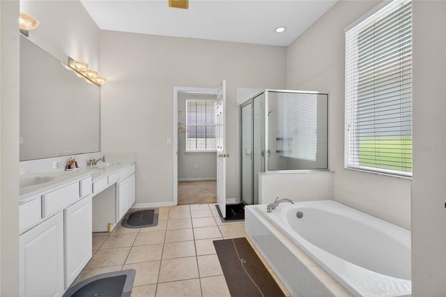 10206 SHADOW BRANCH DRIVE, Tampa, FL 33647