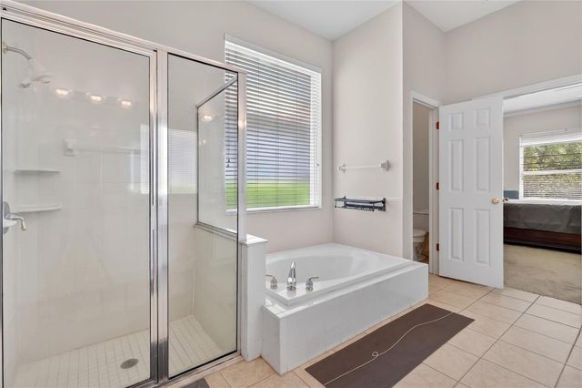 10206 SHADOW BRANCH DRIVE, Tampa, FL 33647